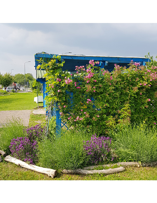 Milano Green Way – OPERA in FIORE Cooperativa Sociale